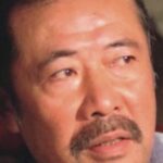 Wang Han-Chen