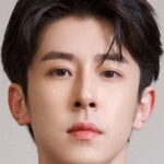 Lin Fengsong