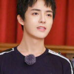 Duan Meiyang